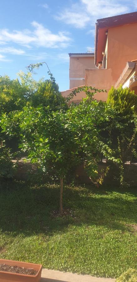 פיומיצ'ינו La Casetta Di Antonietta מראה חיצוני תמונה